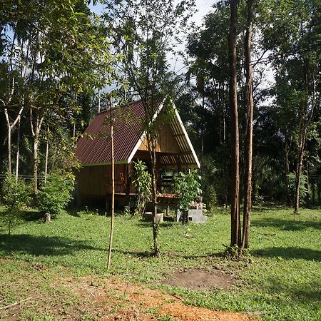 Khao Sok Jungle Resort Khao Sok National Park ภายนอก รูปภาพ