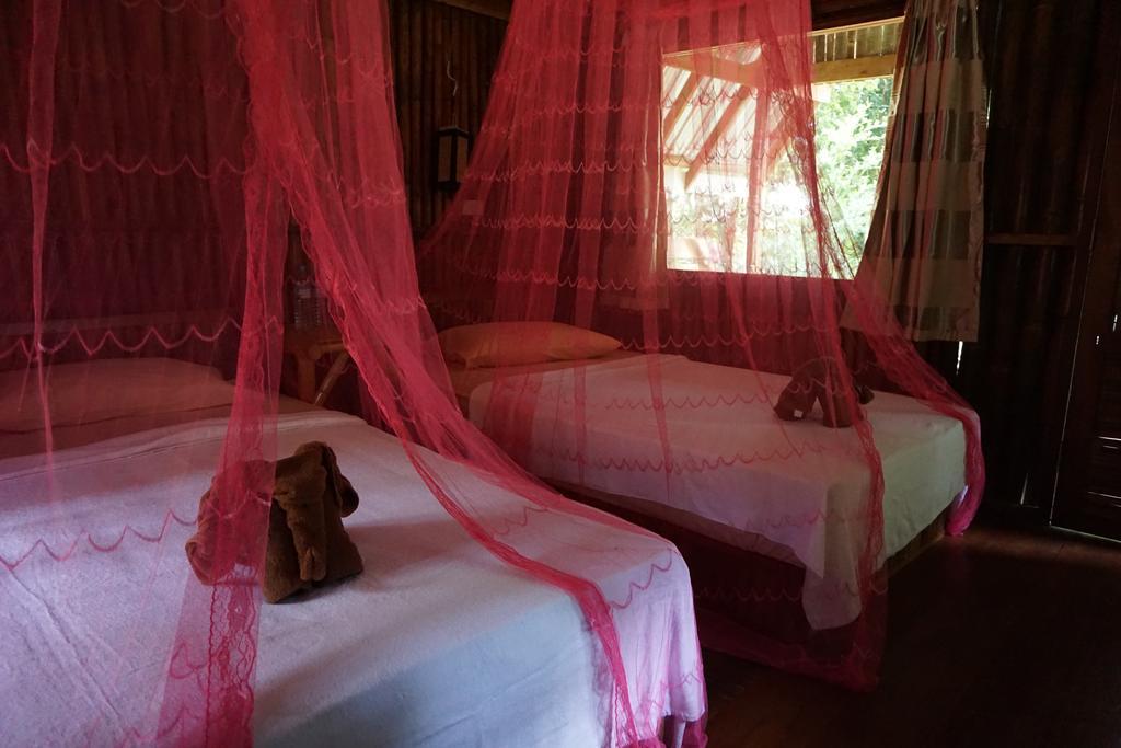 Khao Sok Jungle Resort Khao Sok National Park ห้อง รูปภาพ