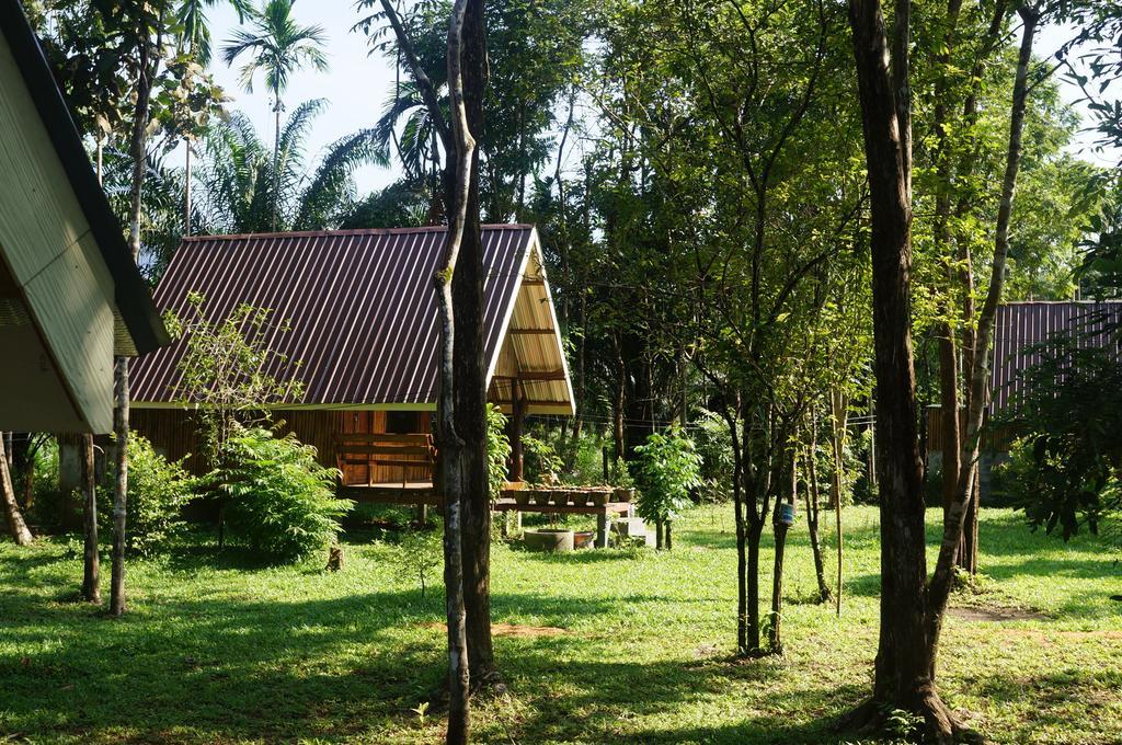 Khao Sok Jungle Resort Khao Sok National Park ห้อง รูปภาพ