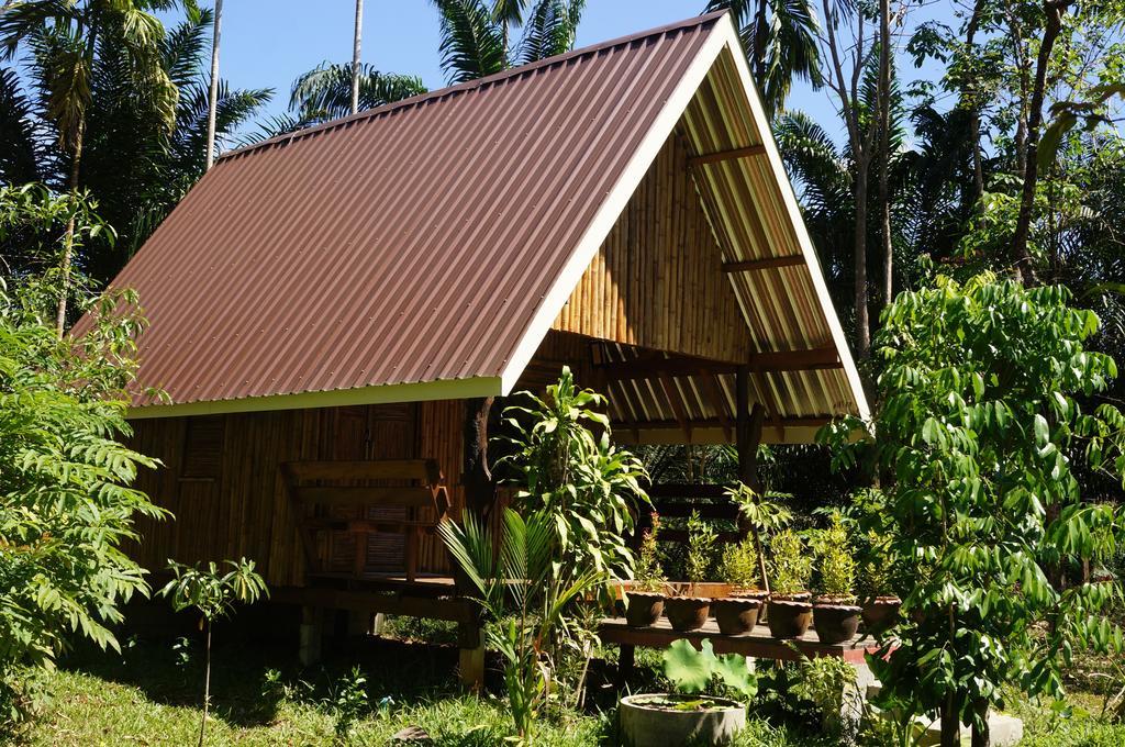 Khao Sok Jungle Resort Khao Sok National Park ห้อง รูปภาพ