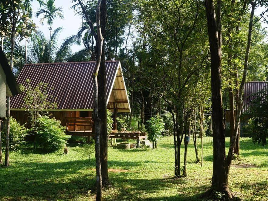 Khao Sok Jungle Resort Khao Sok National Park ภายนอก รูปภาพ