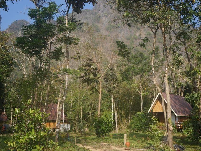 Khao Sok Jungle Resort Khao Sok National Park ภายนอก รูปภาพ