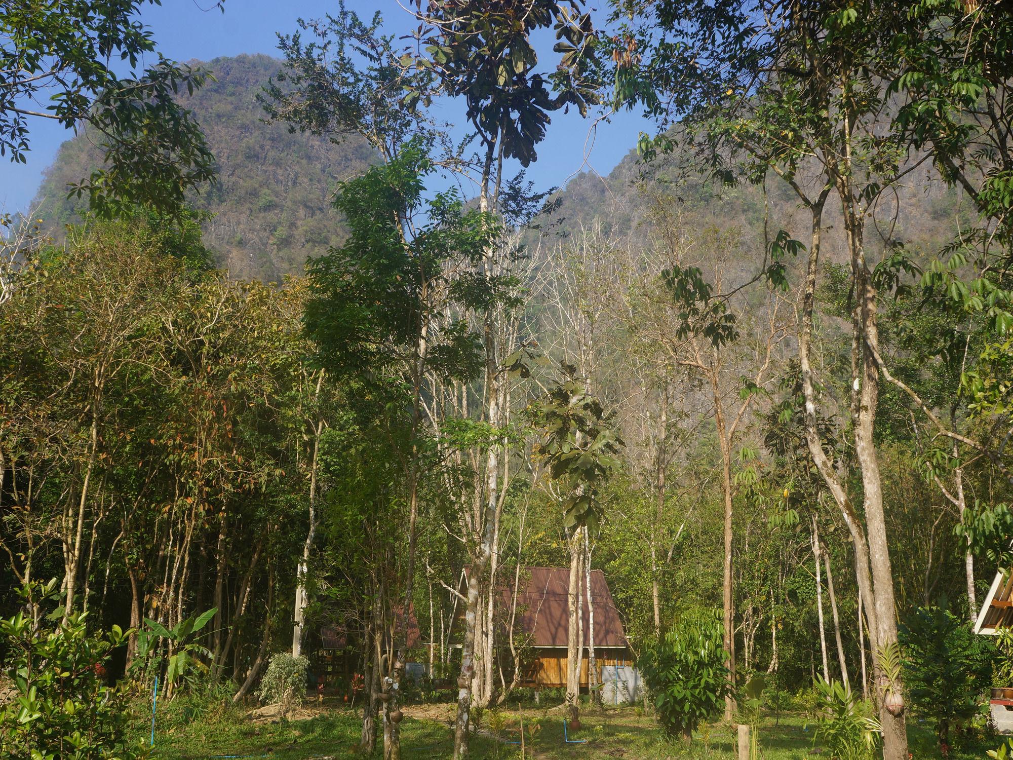 Khao Sok Jungle Resort Khao Sok National Park ภายนอก รูปภาพ
