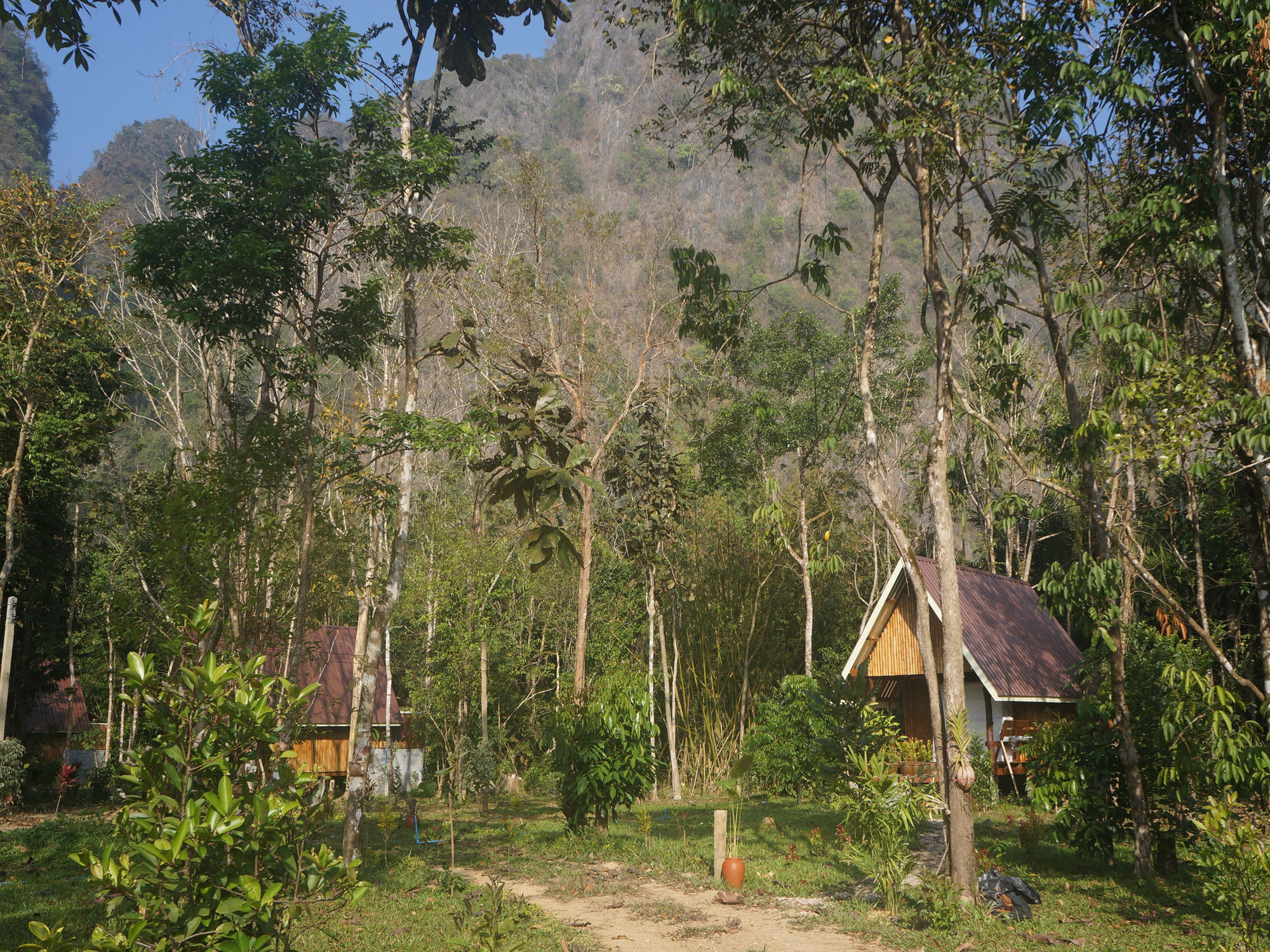 Khao Sok Jungle Resort Khao Sok National Park ภายนอก รูปภาพ