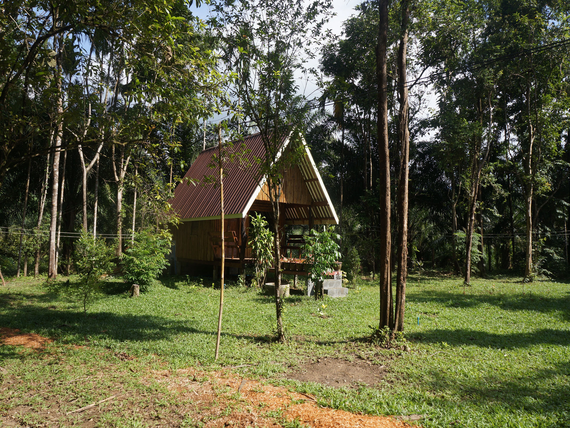 Khao Sok Jungle Resort Khao Sok National Park ภายนอก รูปภาพ
