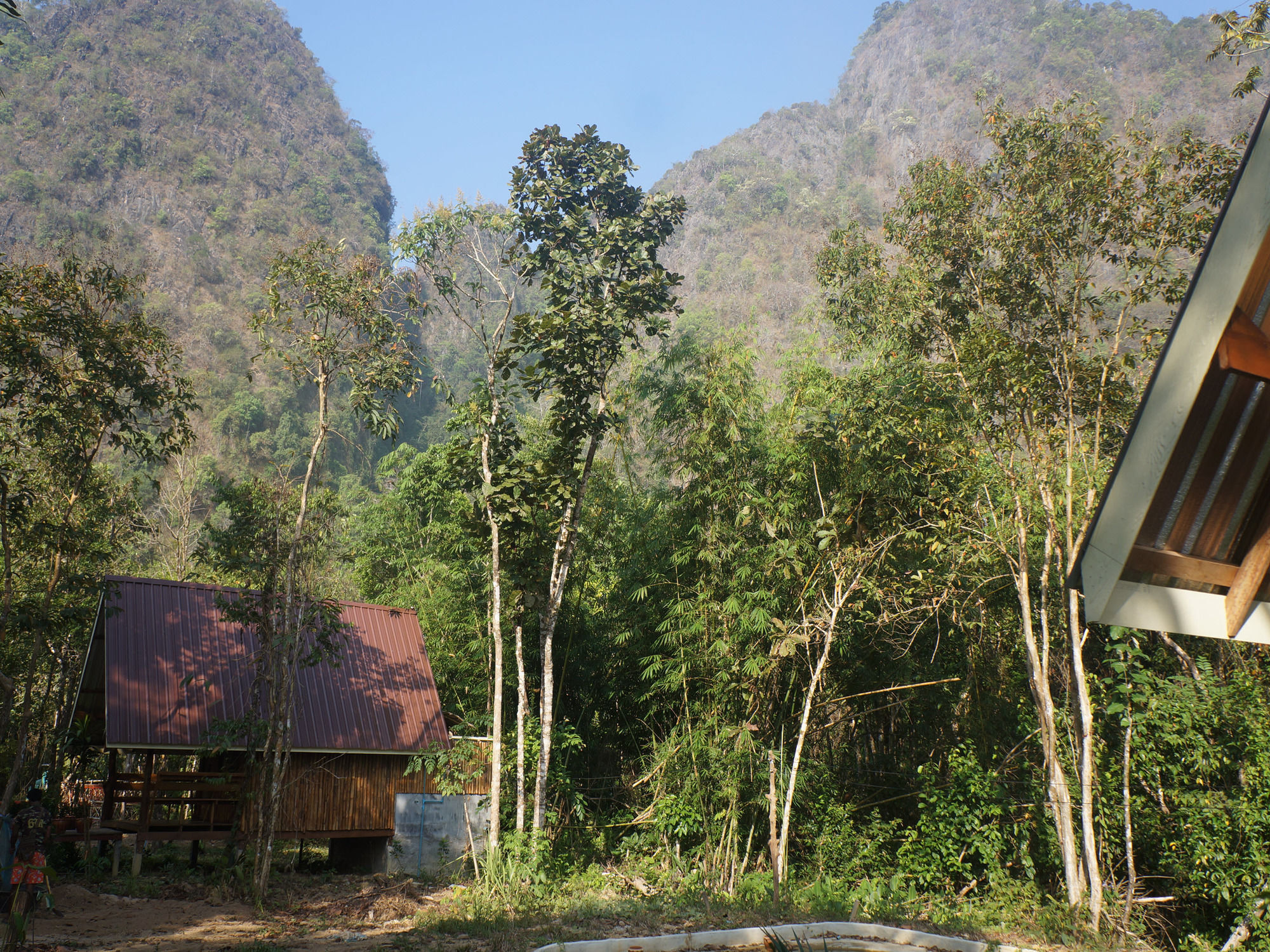 Khao Sok Jungle Resort Khao Sok National Park ภายนอก รูปภาพ